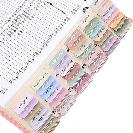 Morandi Laminated Bible Tabs for Women and Men